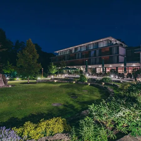 Dorint Thermenhotel 4* פרייבורג