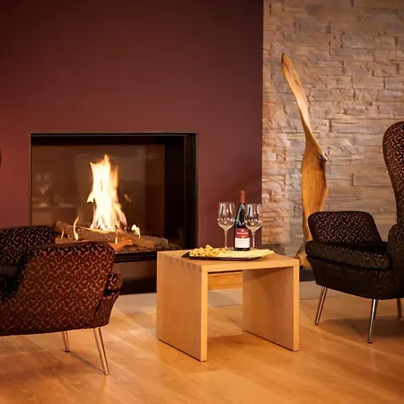 Otel Dorint Thermenhotel Freiburg im Breisgau